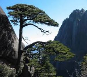 中国的世界文化遗产——安徽黄山（1）
