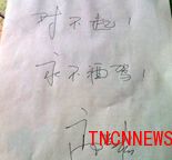 高晓松就酒驾书面道歉