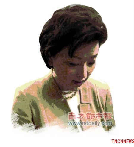 杨澜 身份：全国政协委员